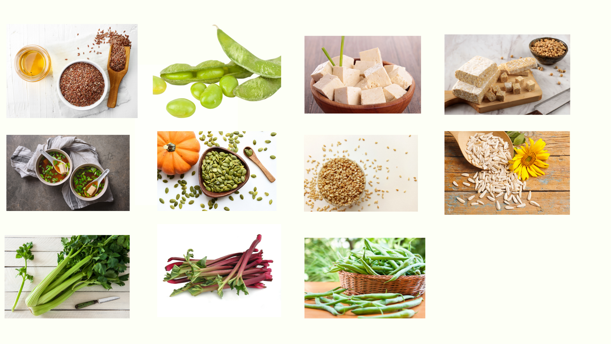 Halsa Wellbeing Eat Well