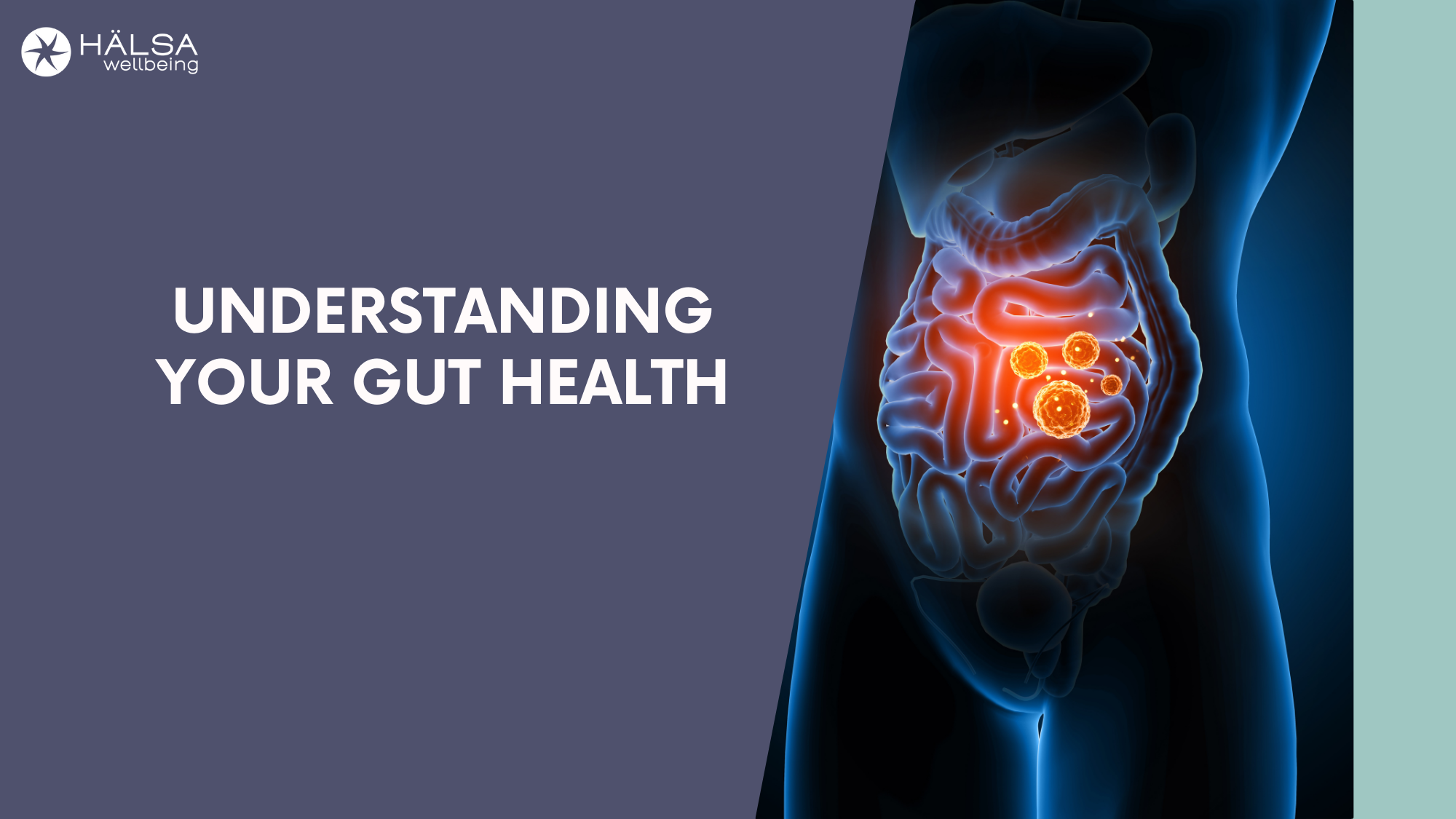 MyHalsa Gut Health