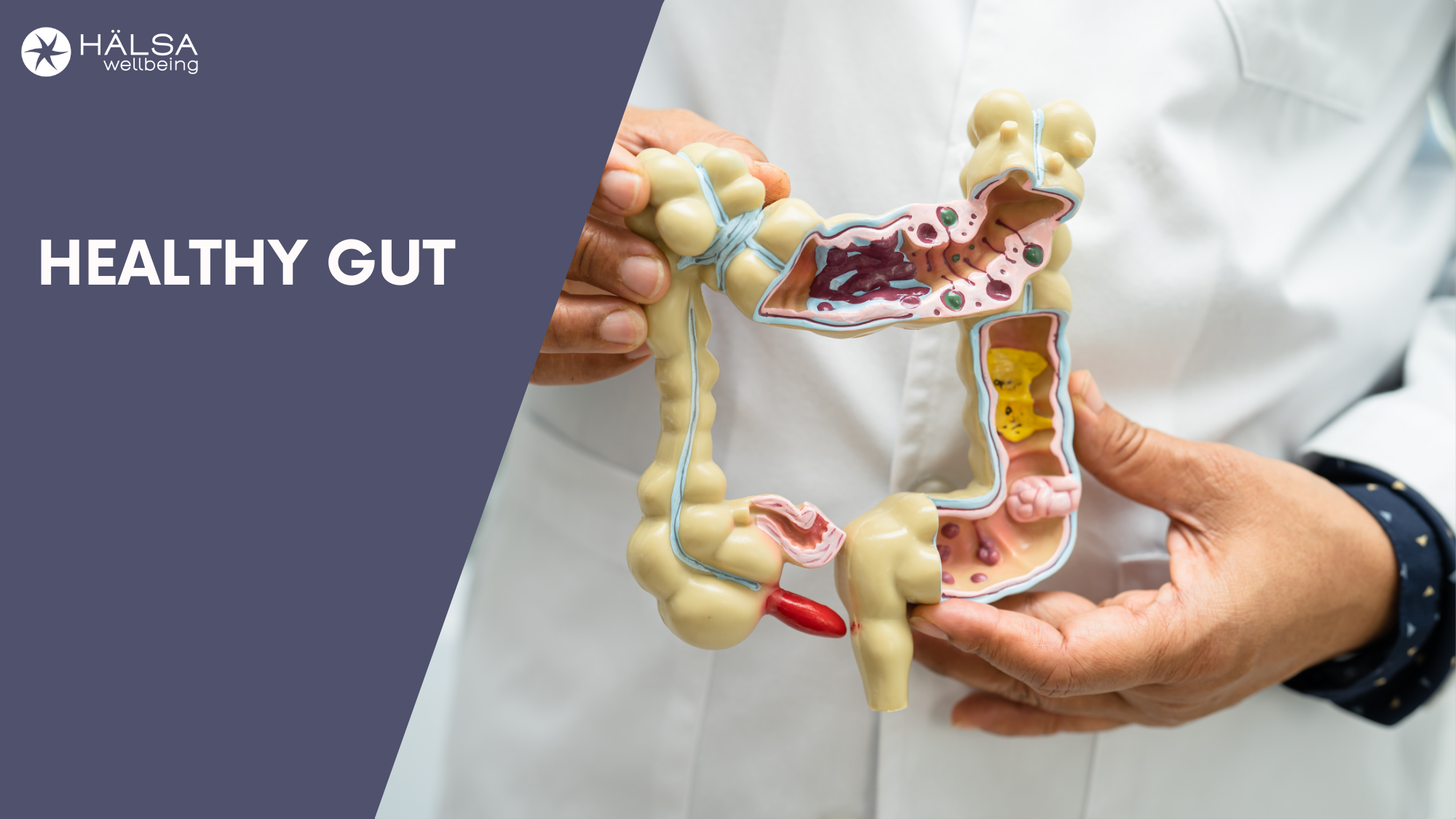 MyHalsa Gut Health